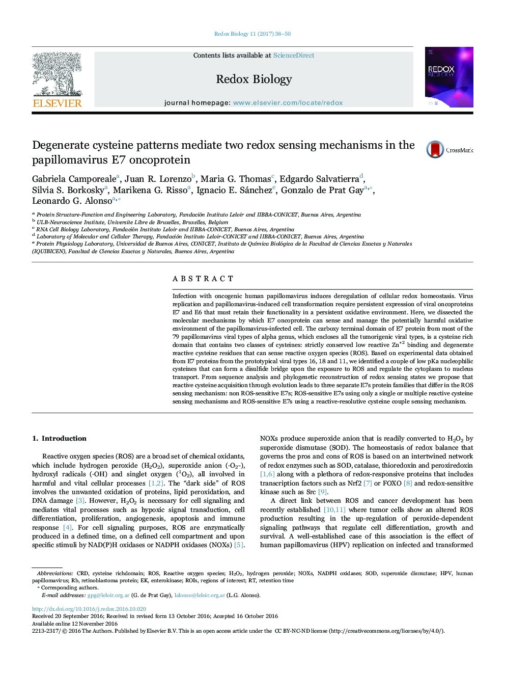 Degenerate cysteine patterns mediate two redox sensing mechanisms in the papillomavirus E7 oncoprotein