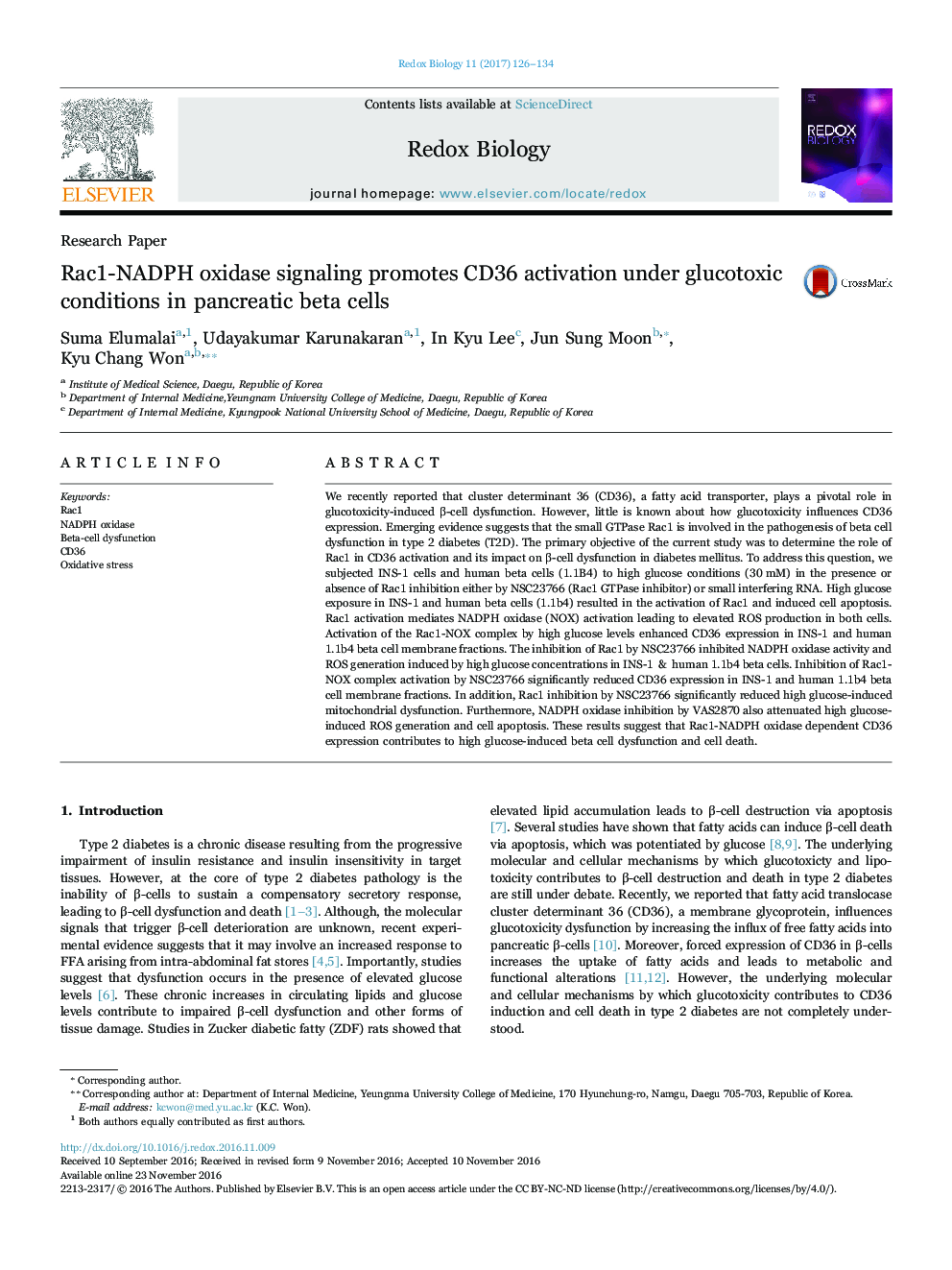 Rac1-NADPH oxidase signaling promotes CD36 activation under glucotoxic conditions in pancreatic beta cells