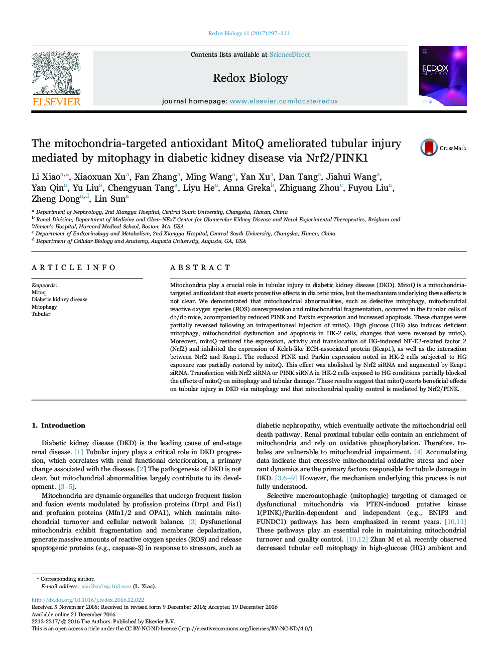 The mitochondria-targeted antioxidant MitoQ ameliorated tubular injury mediated by mitophagy in diabetic kidney disease via Nrf2/PINK1