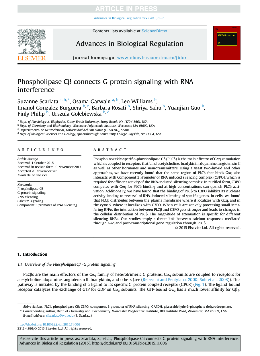 Phospholipase CÎ² connects G protein signaling with RNA interference