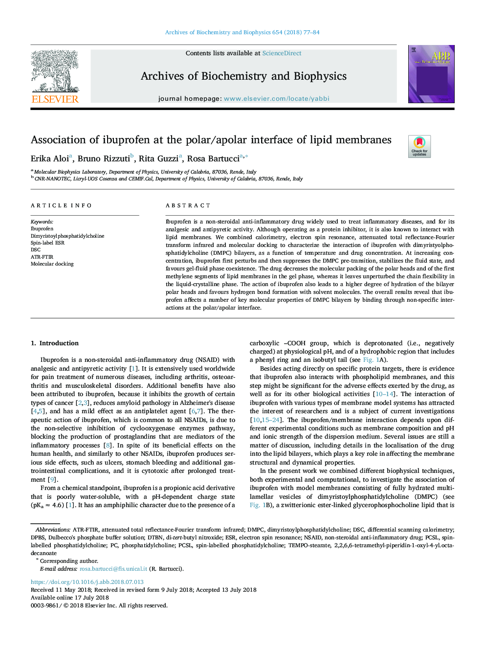 Association of ibuprofen at the polar/apolar interface of lipid membranes