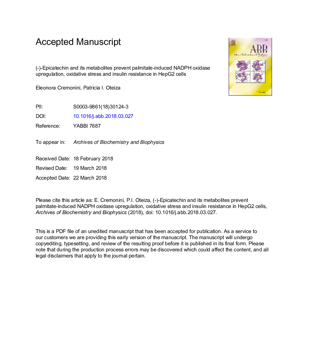 (-)-Epicatechin and its metabolites prevent palmitate-induced NADPH oxidase upregulation, oxidative stress and insulin resistance in HepG2 cells