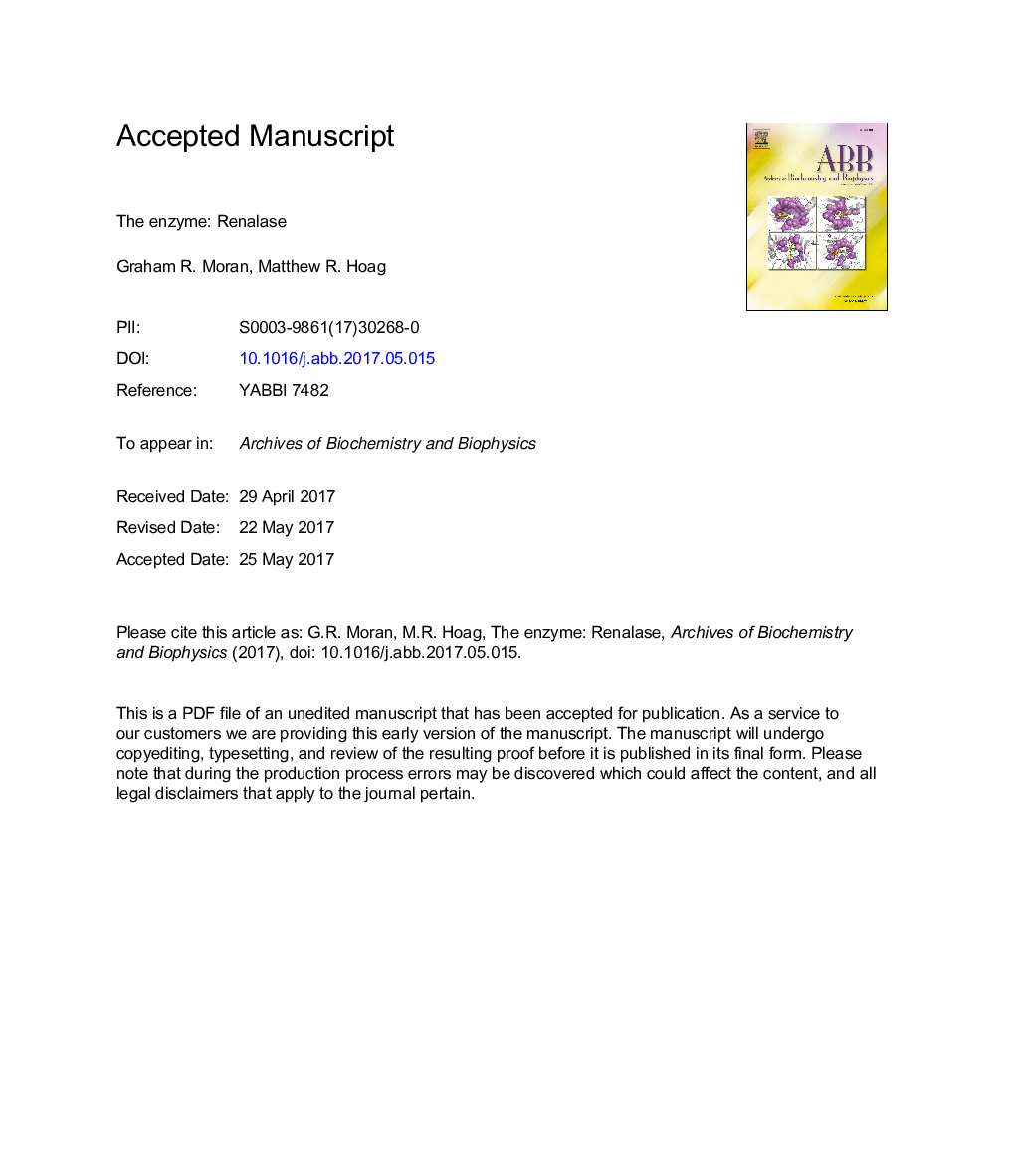 The enzyme: Renalase