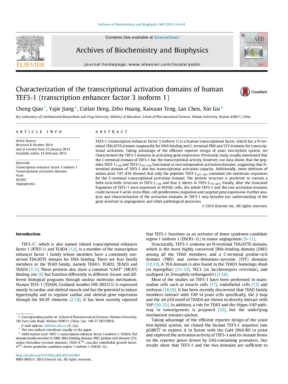 Characterization of the transcriptional activation domains of human TEF3-1 (transcription enhancer factor 3 isoform 1)