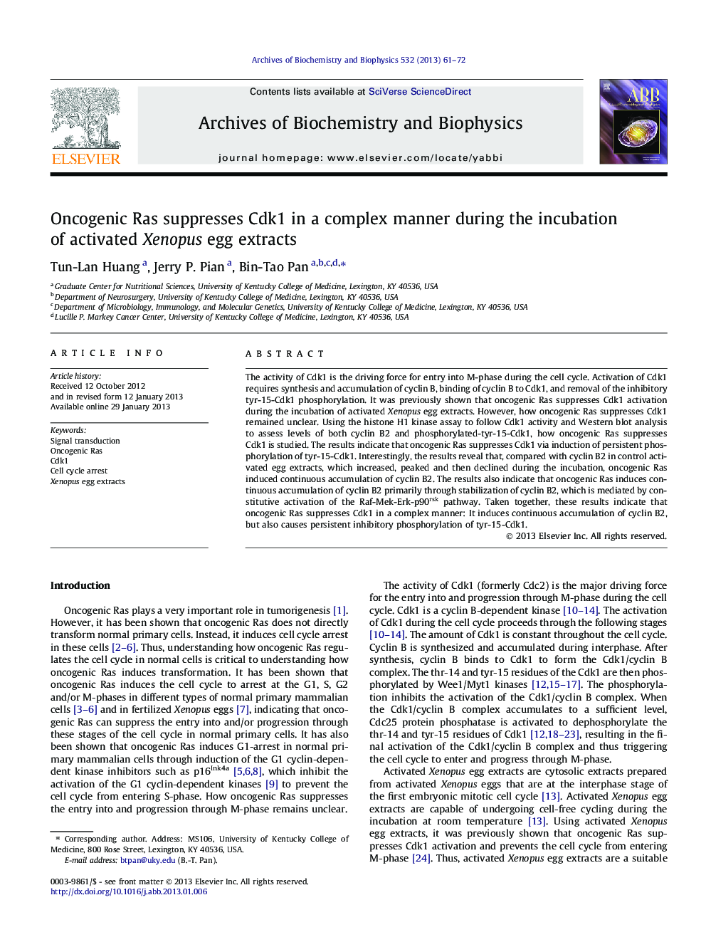 Oncogenic Ras suppresses Cdk1 in a complex manner during the incubation of activated Xenopus egg extracts