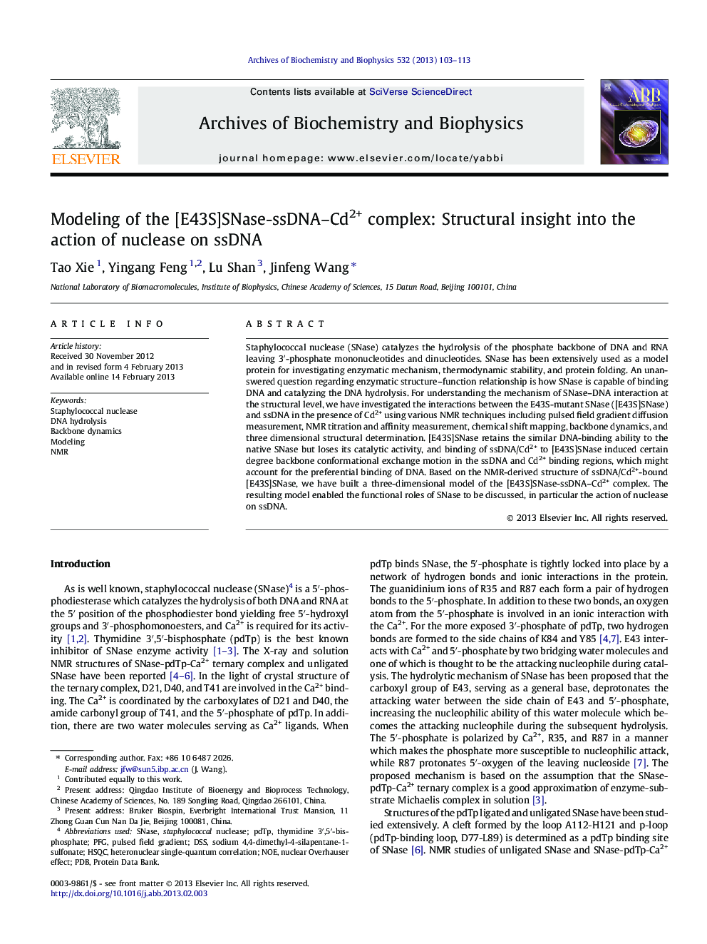 Modeling of the [E43S]SNase-ssDNA-Cd2+ complex: Structural insight into the action of nuclease on ssDNA