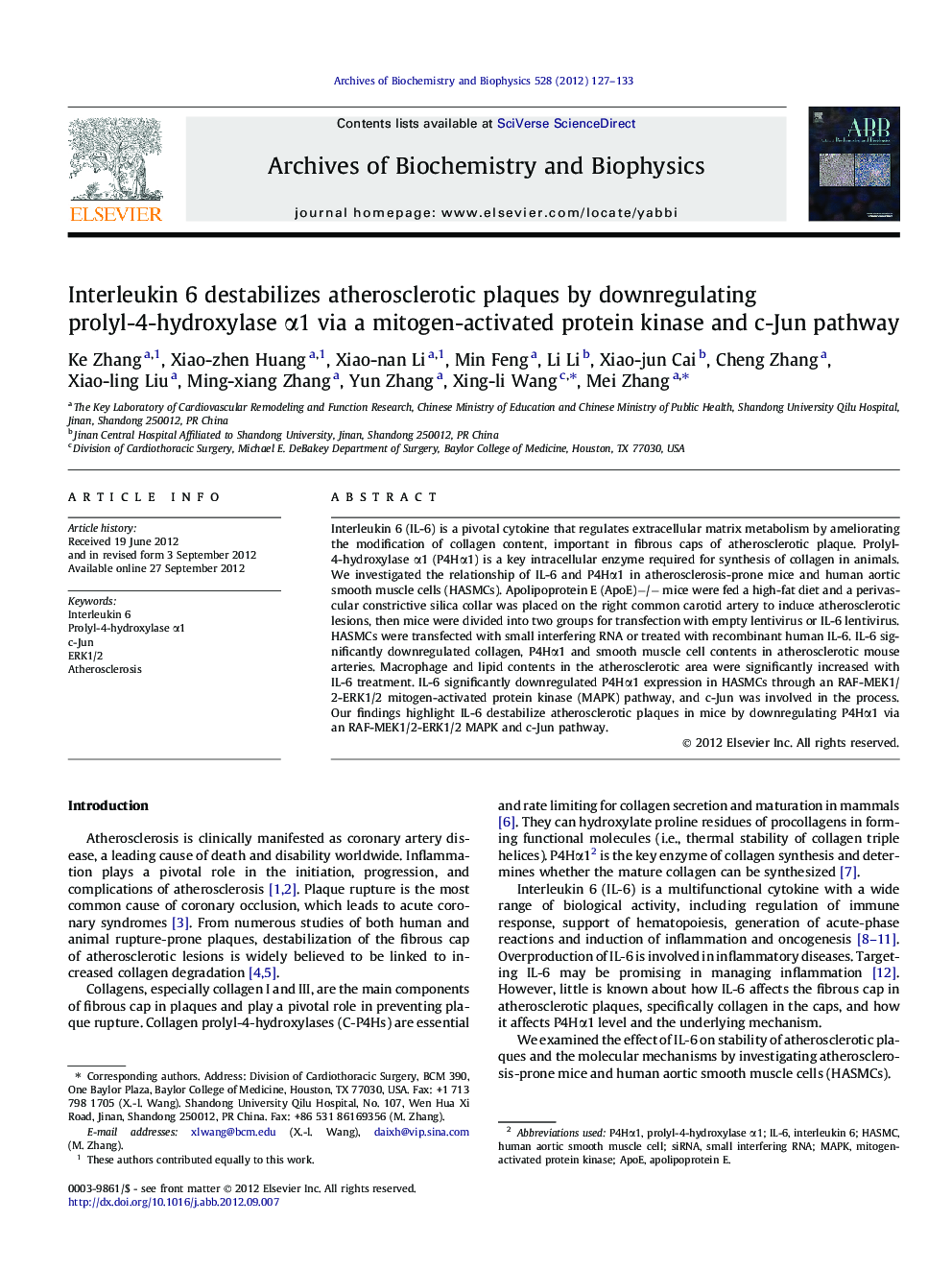 Interleukin 6 destabilizes atherosclerotic plaques by downregulating prolyl-4-hydroxylase Î±1 via a mitogen-activated protein kinase and c-Jun pathway