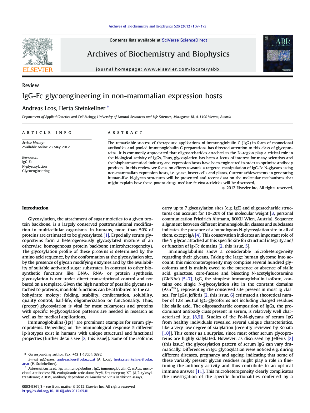 IgG-Fc glycoengineering in non-mammalian expression hosts