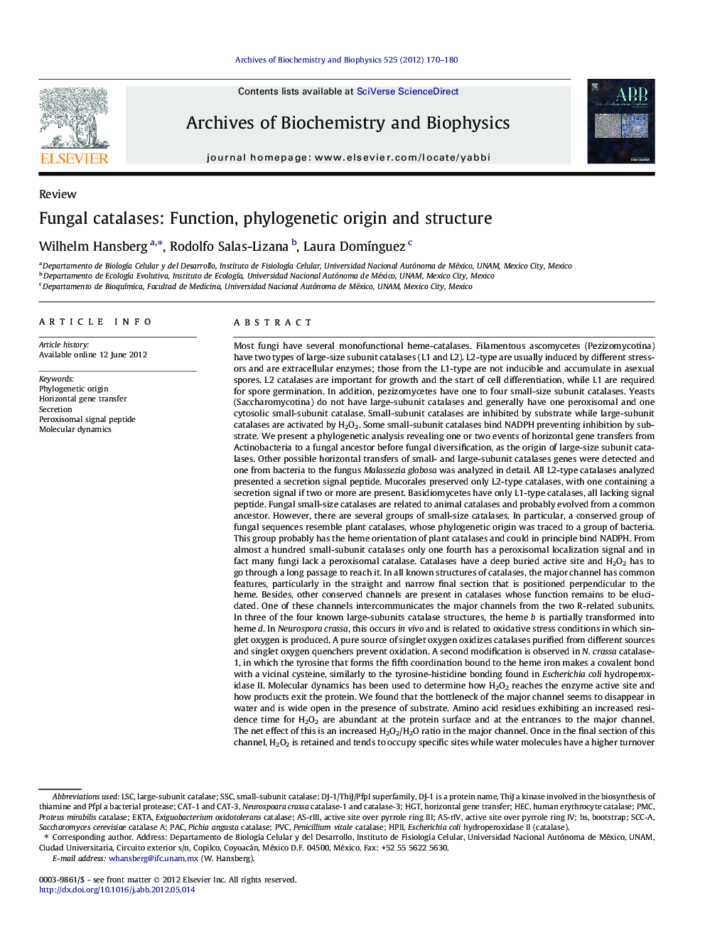 Fungal catalases: Function, phylogenetic origin and structure