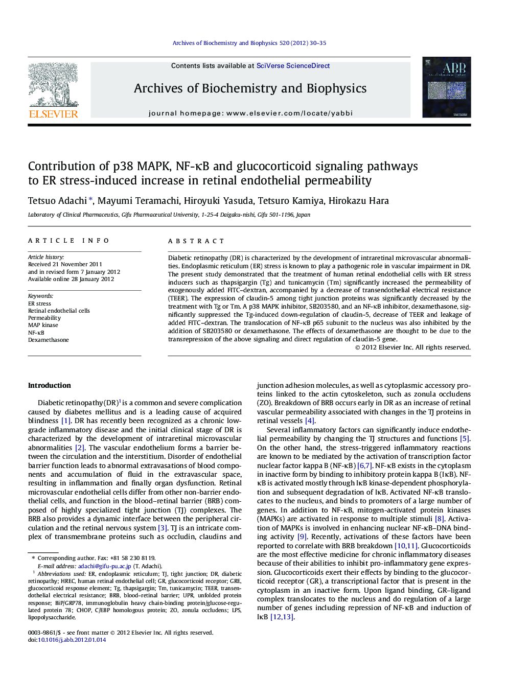 Contribution of p38 MAPK, NF-ÎºB and glucocorticoid signaling pathways to ER stress-induced increase in retinal endothelial permeability