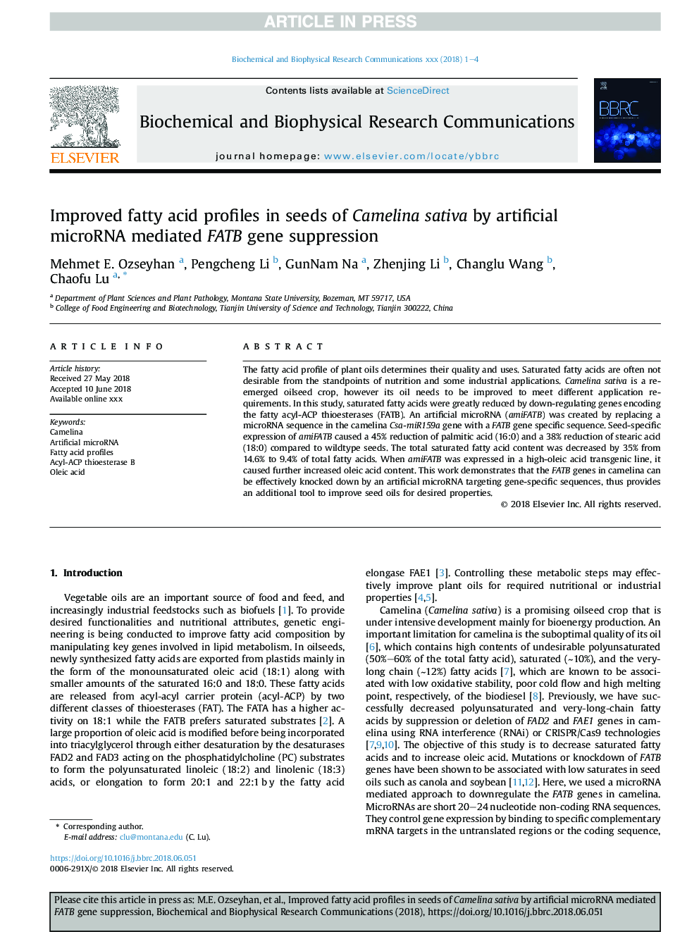 Improved fatty acid profiles in seeds of Camelina sativa by artificial microRNA mediated FATB gene suppression