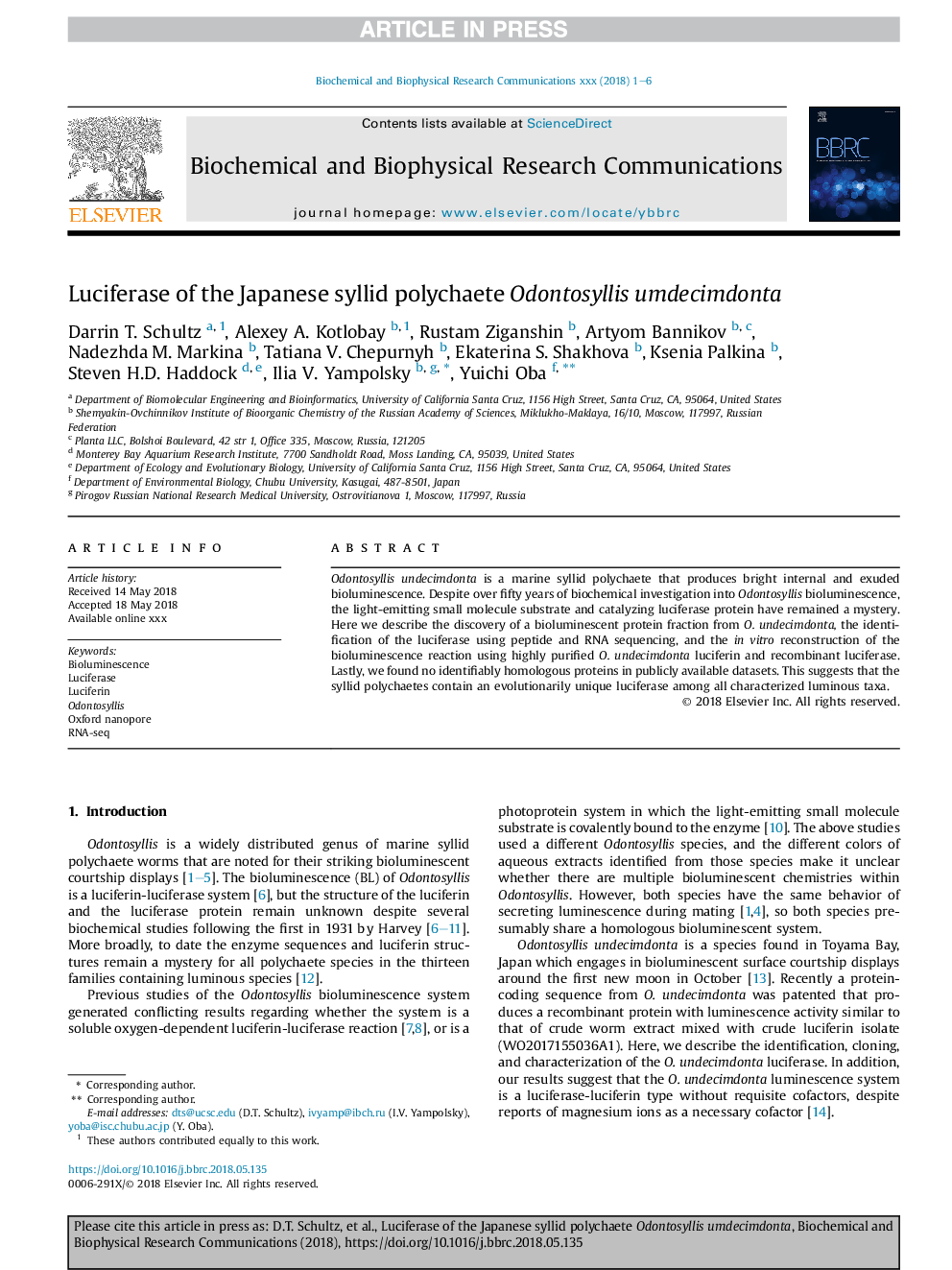 Luciferase of the Japanese syllid polychaete Odontosyllis umdecimdonta