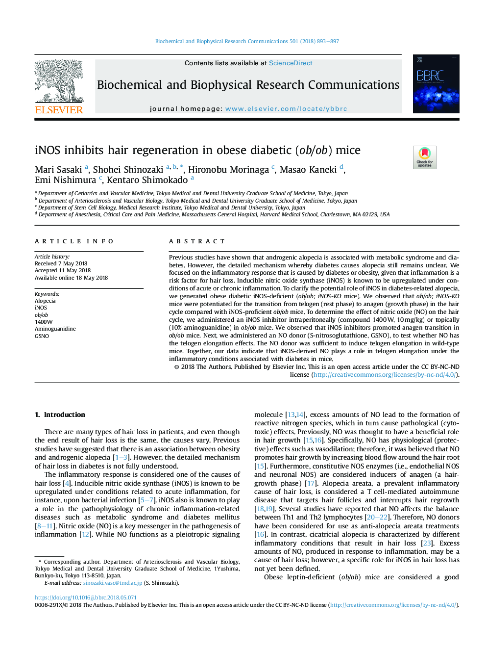 iNOS inhibits hair regeneration in obese diabetic (ob/ob) mice