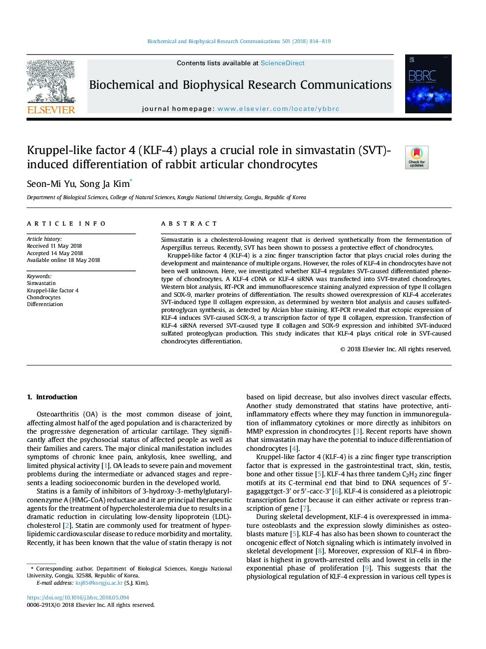 Kruppel-like factor 4 (KLF-4) plays a crucial role in simvastatin (SVT)-induced differentiation of rabbit articular chondrocytes