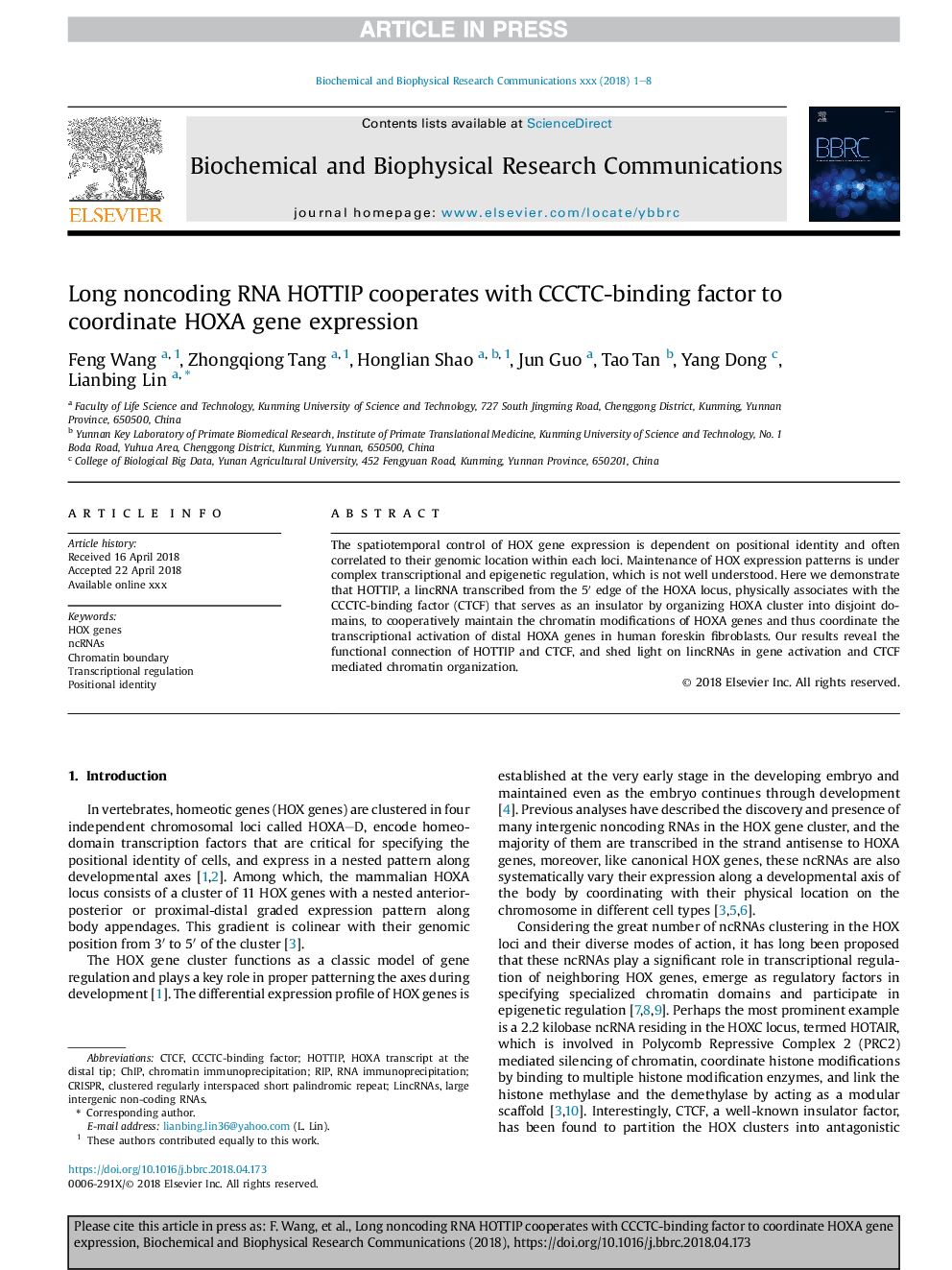 Long noncoding RNA HOTTIP cooperates with CCCTC-binding factor to coordinate HOXA gene expression