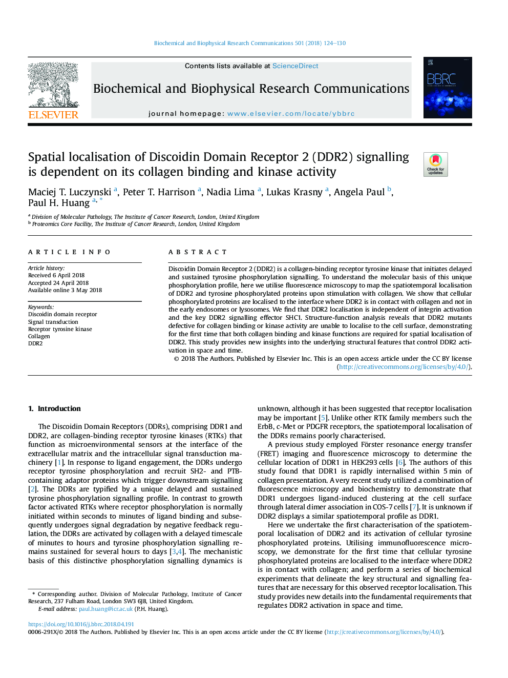 Spatial localisation of Discoidin Domain Receptor 2 (DDR2) signalling is dependent on its collagen binding and kinase activity