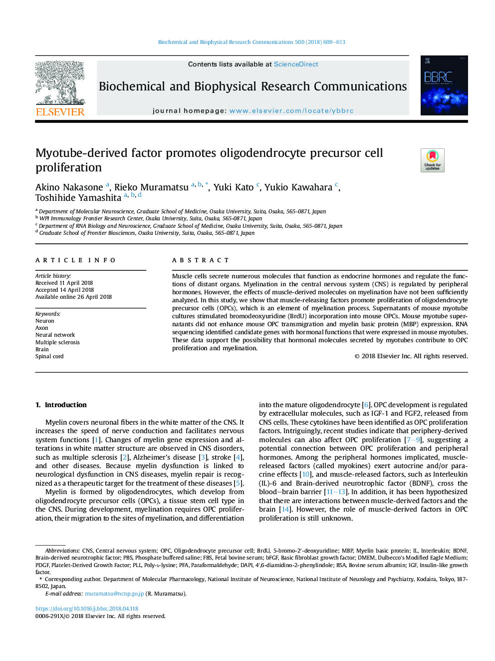 Myotube-derived factor promotes oligodendrocyte precursor cell proliferation