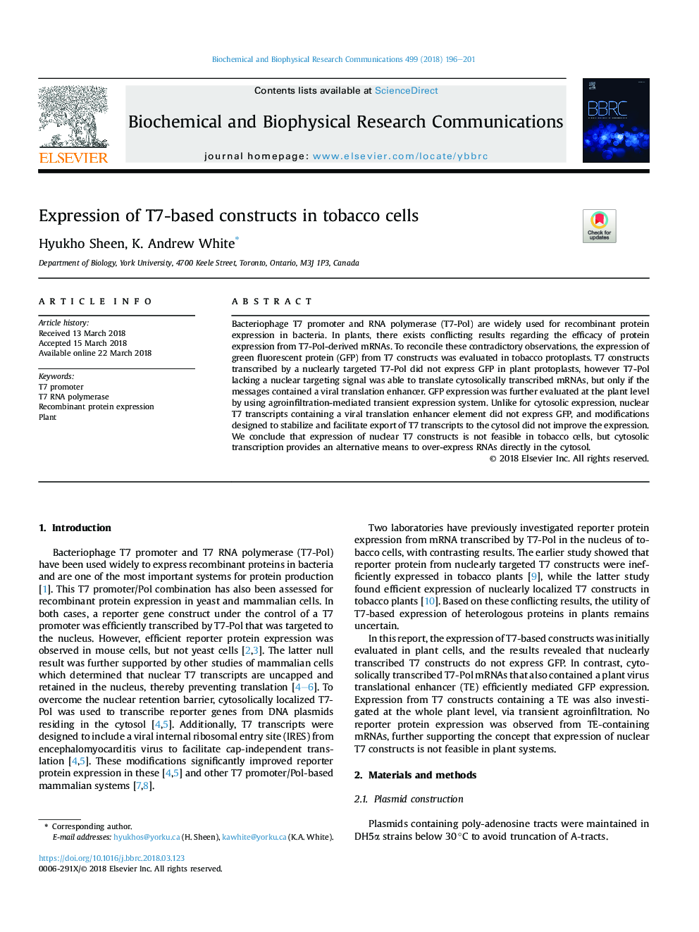 Expression of T7-based constructs in tobacco cells