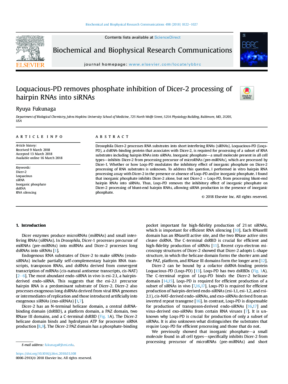 Loquacious-PD removes phosphate inhibition of Dicer-2 processing of hairpin RNAs into siRNAs