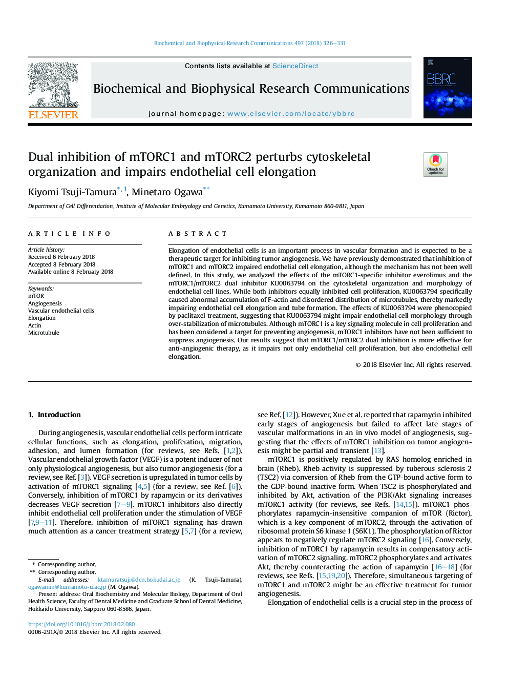 Dual inhibition of mTORC1 and mTORC2 perturbs cytoskeletal organization and impairs endothelial cell elongation