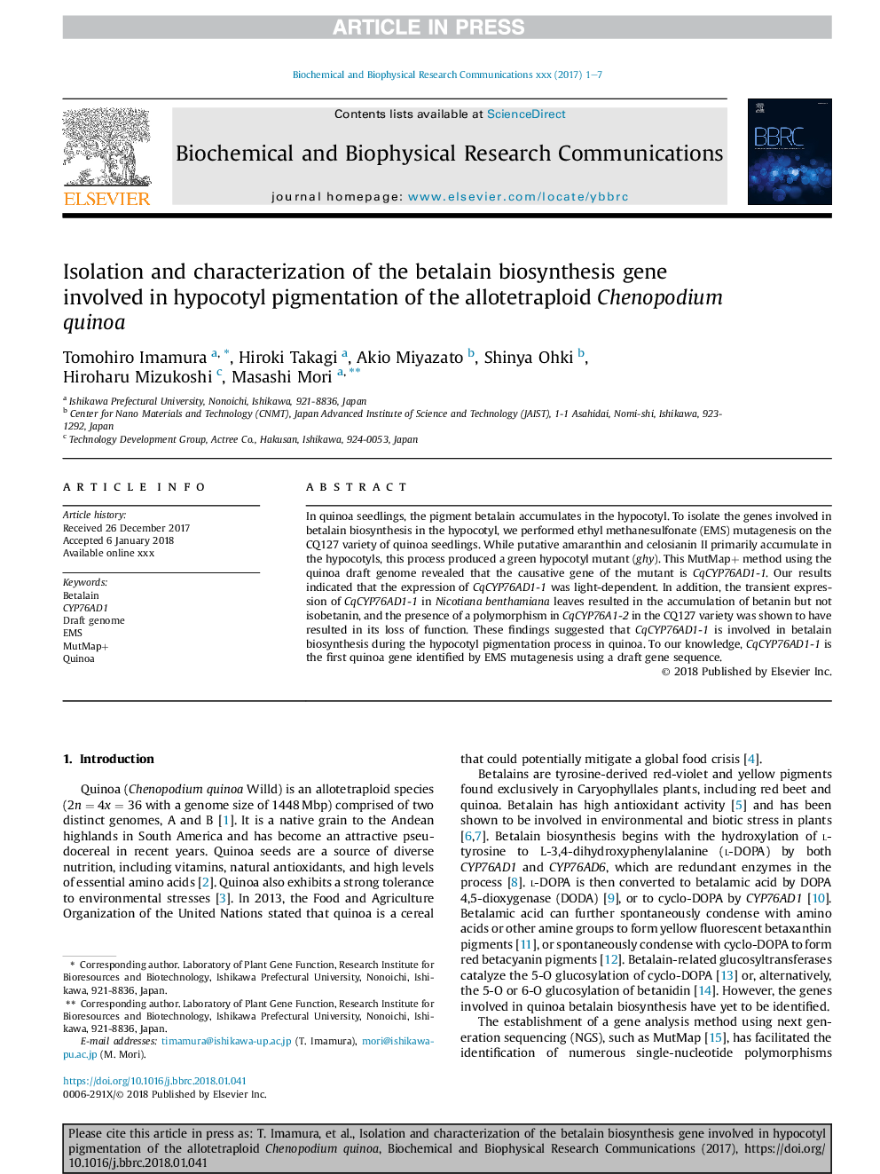 Isolation and characterization of the betalain biosynthesis gene involved in hypocotyl pigmentation of the allotetraploid Chenopodium quinoa