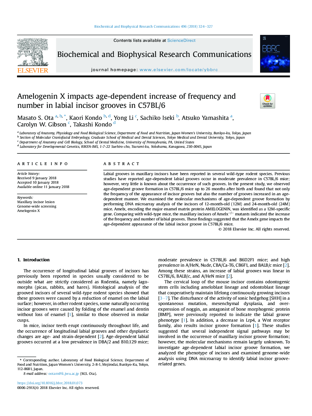 Amelogenin X impacts age-dependent increase of frequency and number in labial incisor grooves in C57BL/6