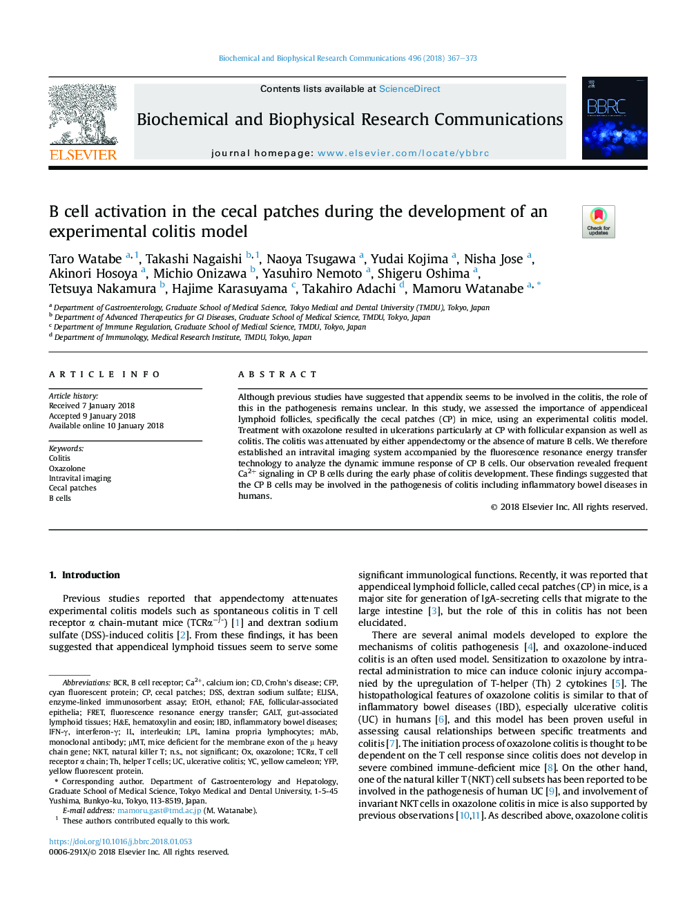 B cell activation in the cecal patches during the development of an experimental colitis model