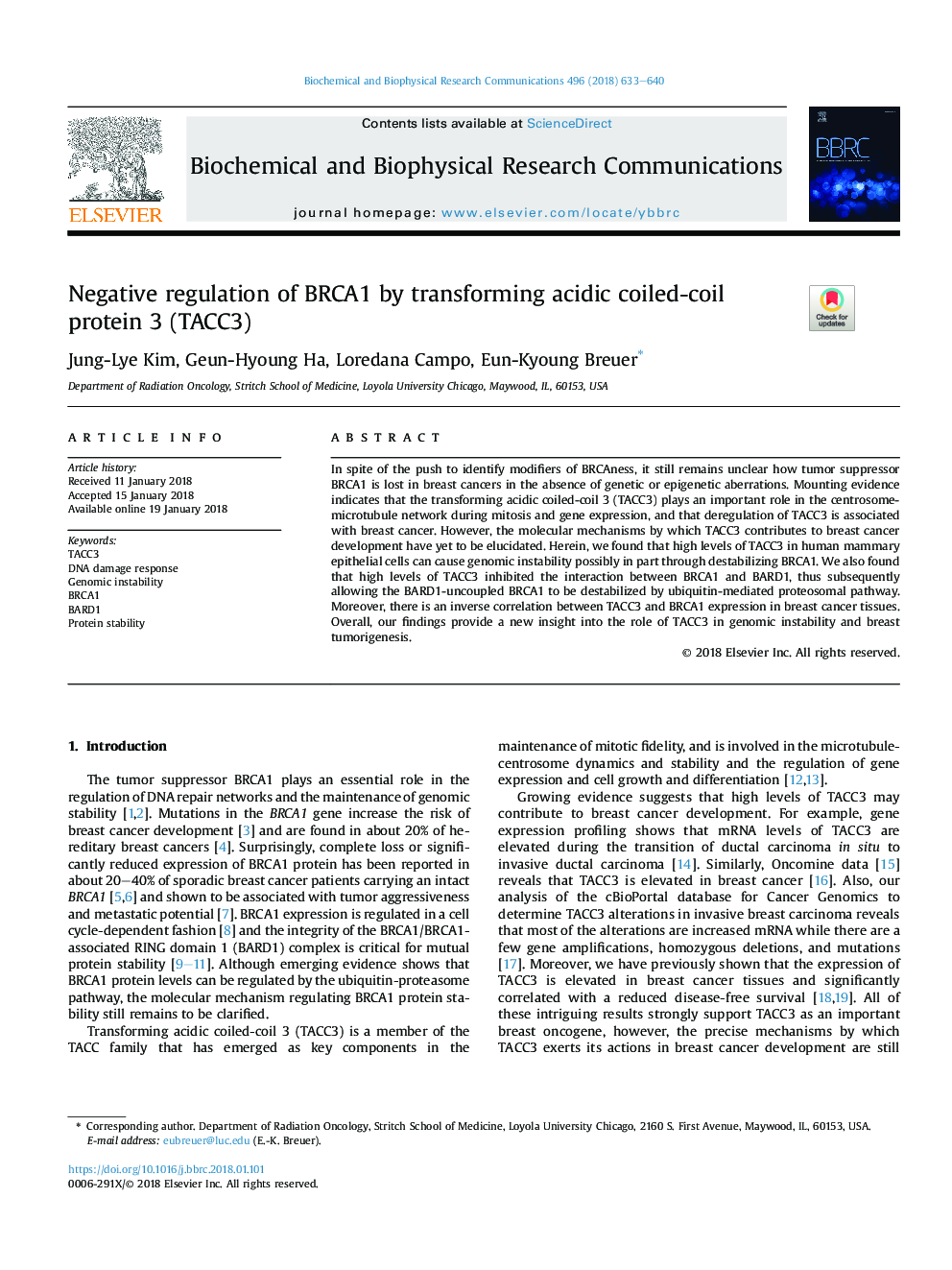 Negative regulation of BRCA1 by transforming acidic coiled-coil protein 3 (TACC3)