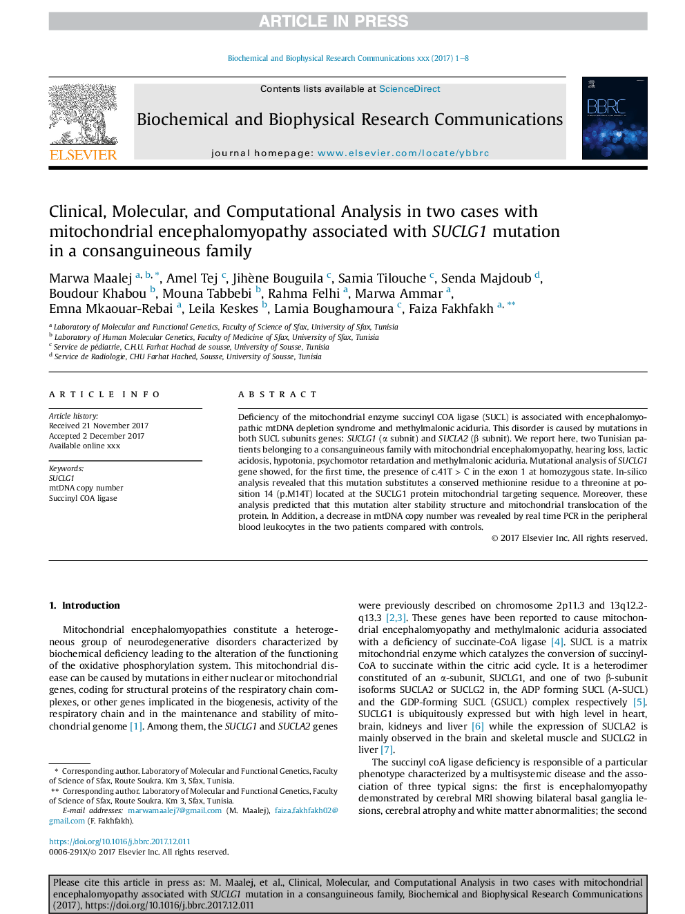 Clinical, Molecular, and Computational Analysis in two cases with mitochondrial encephalomyopathy associated with SUCLG1 mutation in a consanguineous family