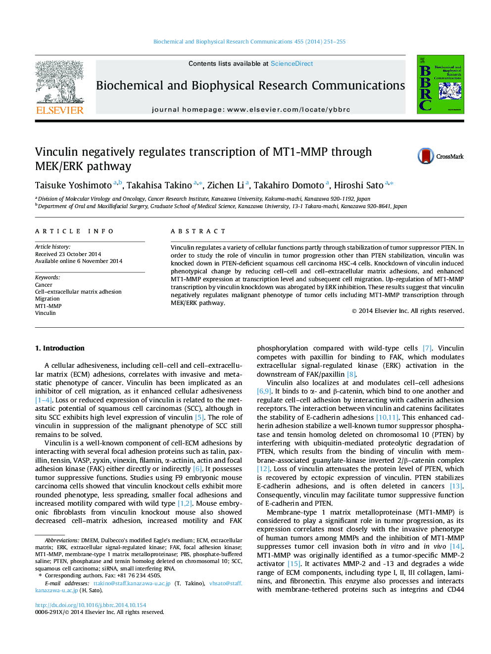 Vinculin negatively regulates transcription of MT1-MMP through MEK/ERK pathway