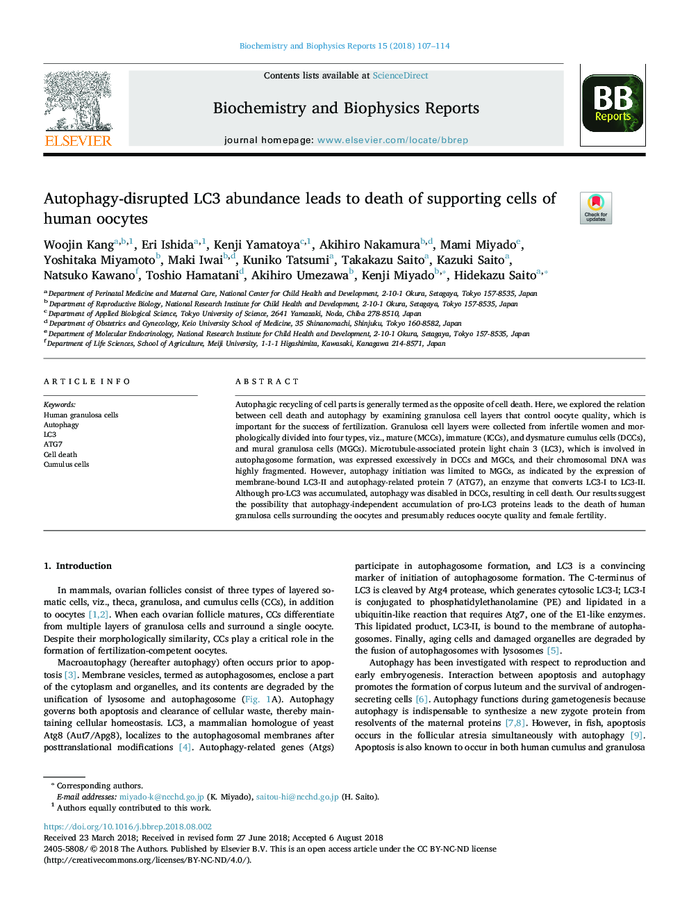 Autophagy-disrupted LC3 abundance leads to death of supporting cells of human oocytes