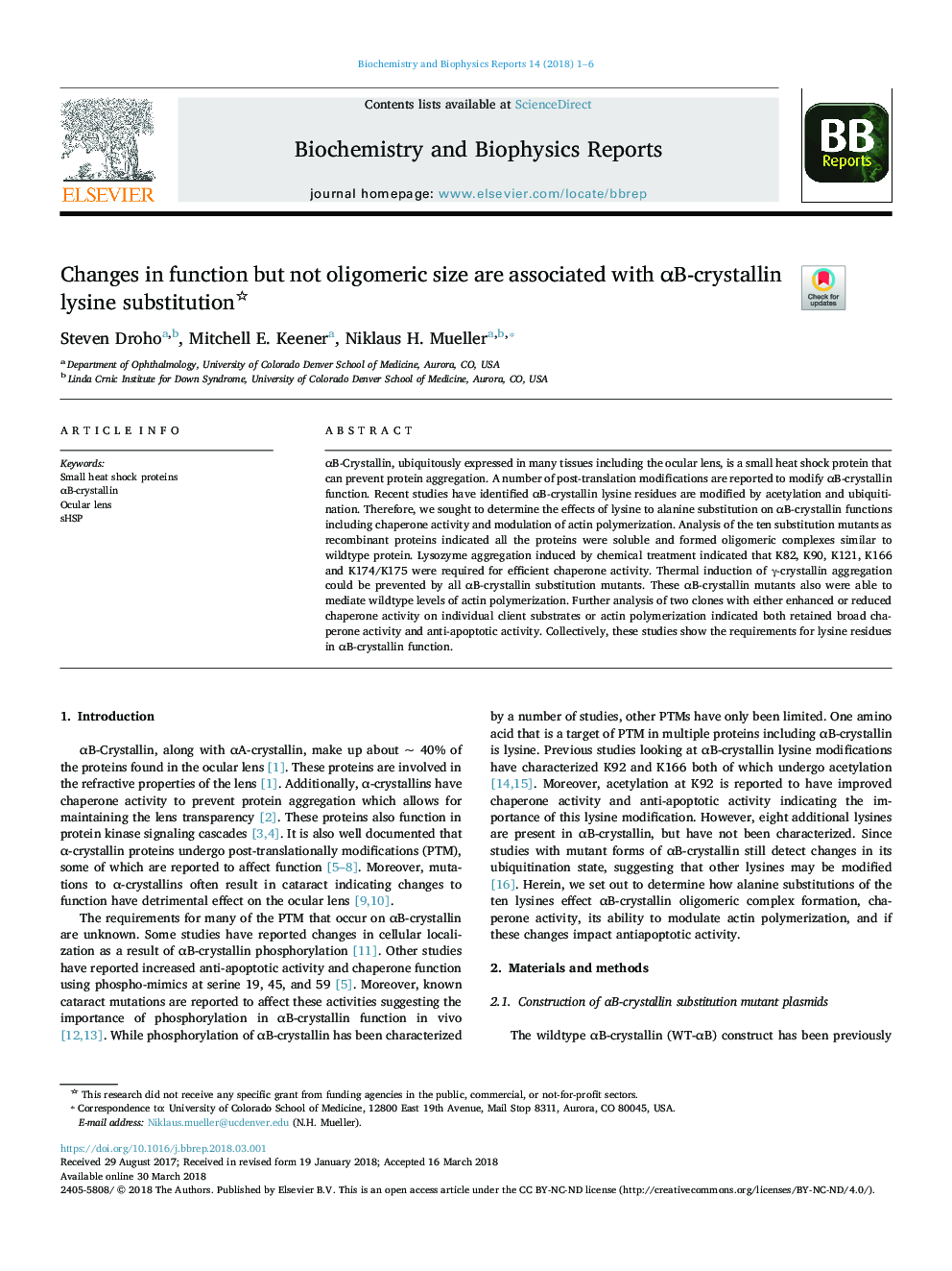 Changes in function but not oligomeric size are associated with Î±B-crystallin lysine substitution