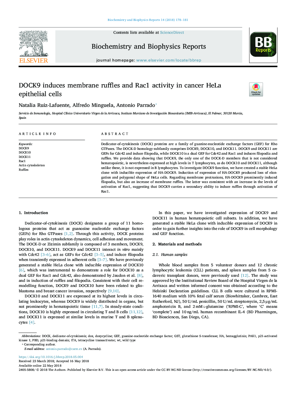 DOCK9 induces membrane ruffles and Rac1 activity in cancer HeLa epithelial cells