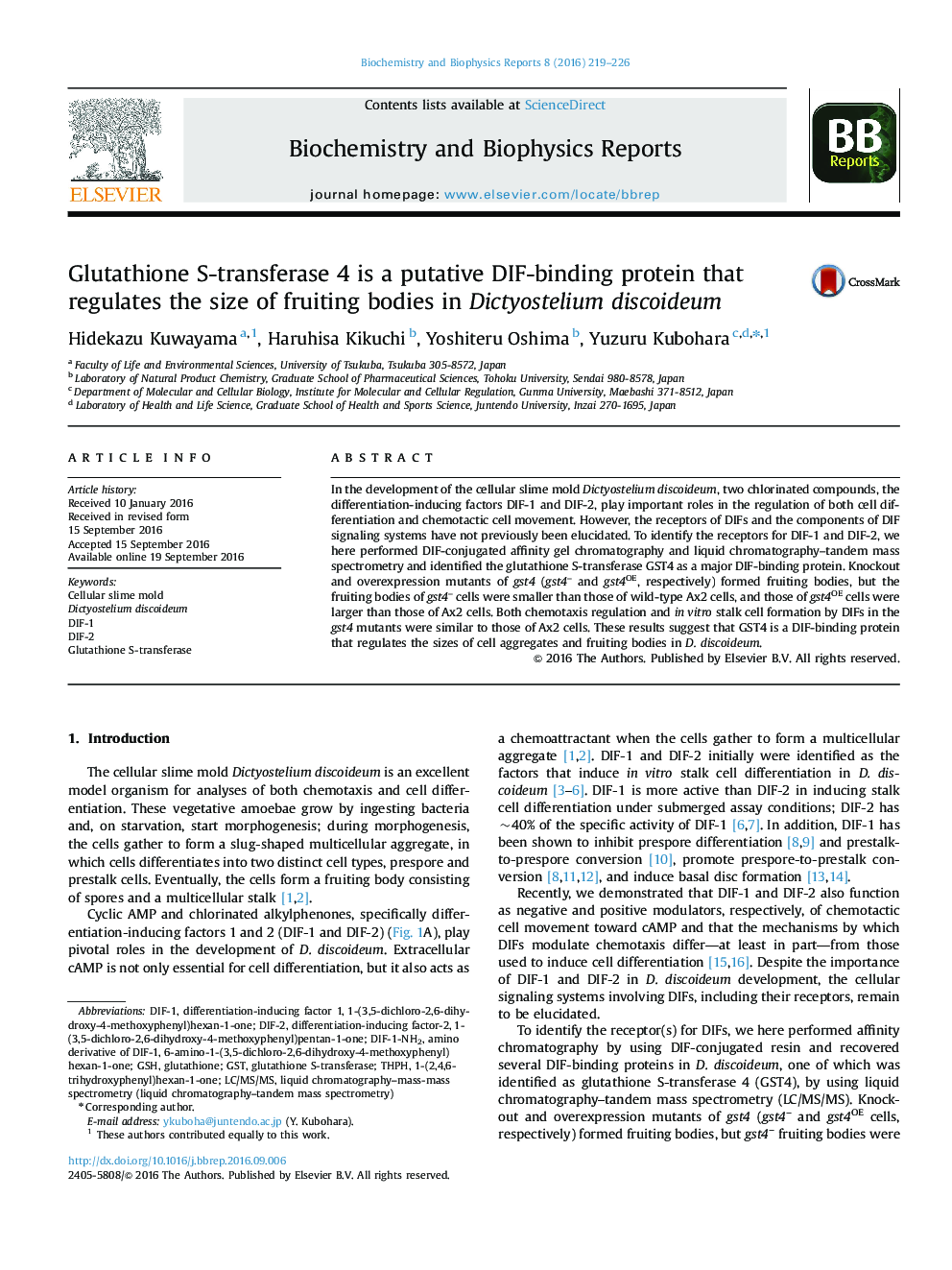 Glutathione S-transferase 4 is a putative DIF-binding protein that regulates the size of fruiting bodies in Dictyostelium discoideum