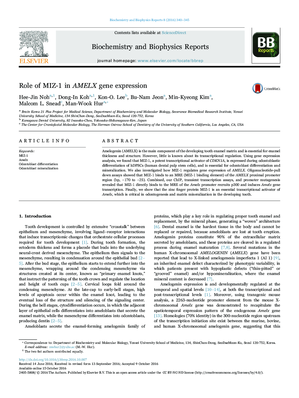 Role of MIZ-1 in AMELX gene expression