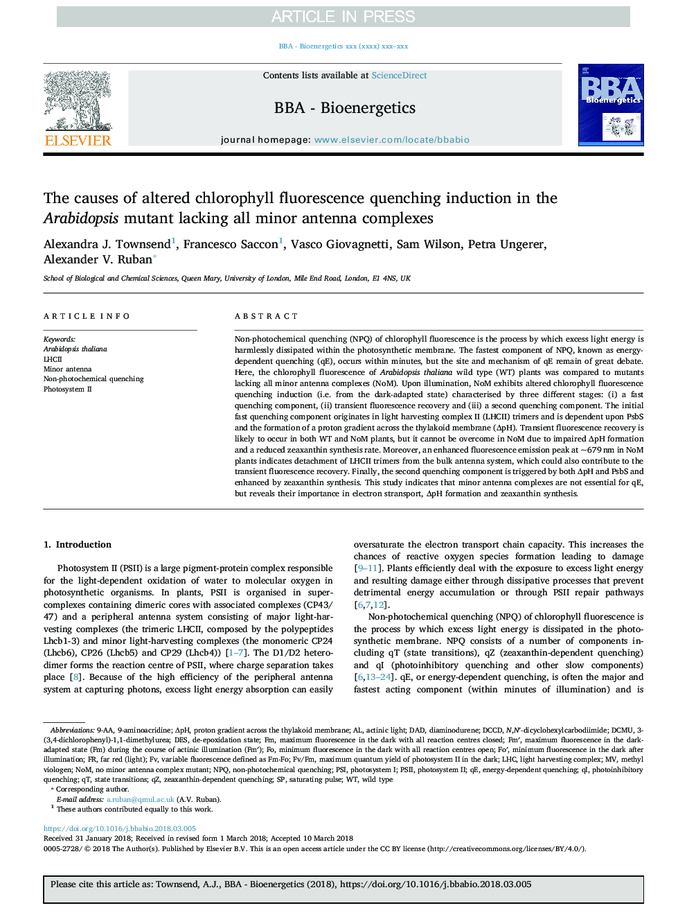 The causes of altered chlorophyll fluorescence quenching induction in the Arabidopsis mutant lacking all minor antenna complexes