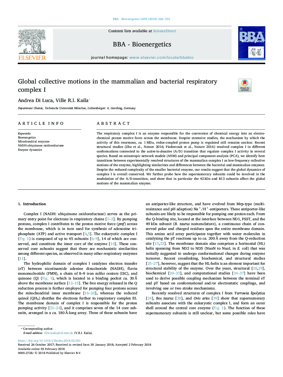 Global collective motions in the mammalian and bacterial respiratory complex I