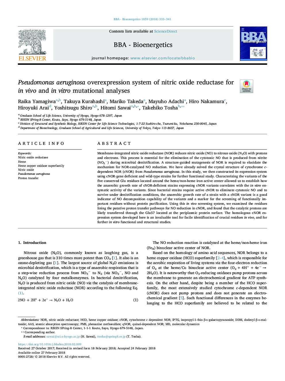 Pseudomonas aeruginosa overexpression system of nitric oxide reductase for in vivo and in vitro mutational analyses