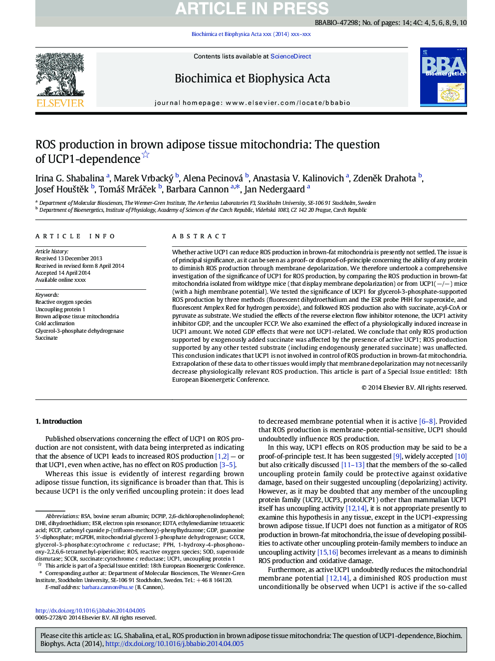 ROS production in brown adipose tissue mitochondria: The question of UCP1-dependence