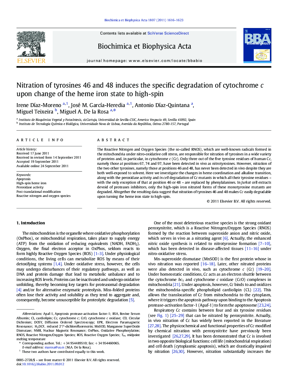 Nitration of tyrosines 46 and 48 induces the specific degradation of cytochrome c upon change of the heme iron state to high-spin