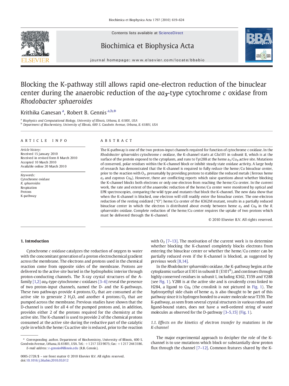 Blocking the K-pathway still allows rapid one-electron reduction of the binuclear center during the anaerobic reduction of the aa3-type cytochrome c oxidase from Rhodobacter sphaeroides