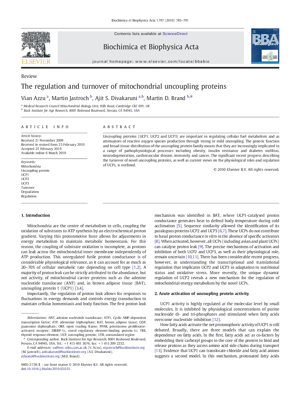 The regulation and turnover of mitochondrial uncoupling proteins