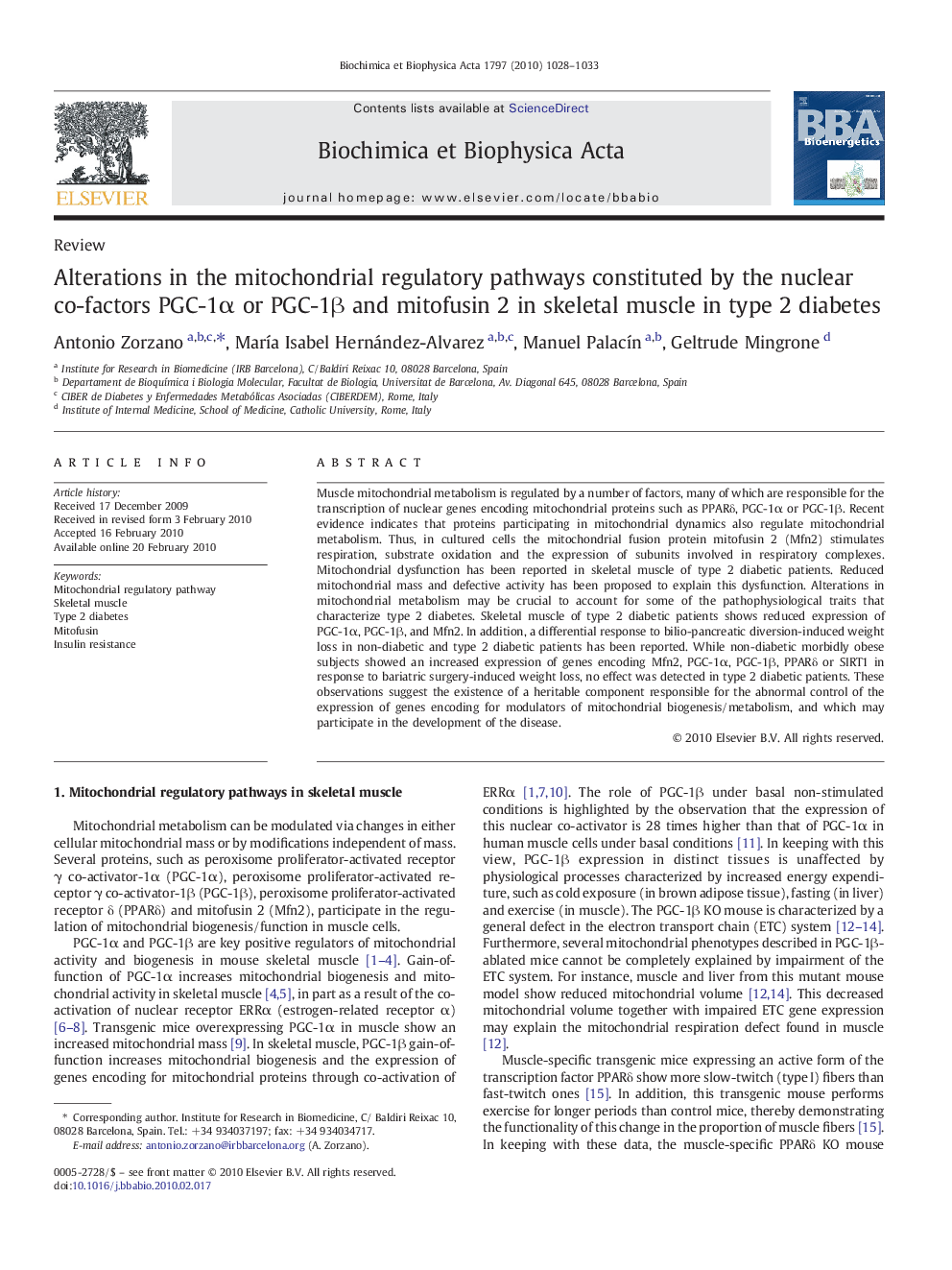 Alterations in the mitochondrial regulatory pathways constituted by the nuclear co-factors PGC-1Î± or PGC-1Î² and mitofusin 2 in skeletal muscle in type 2 diabetes