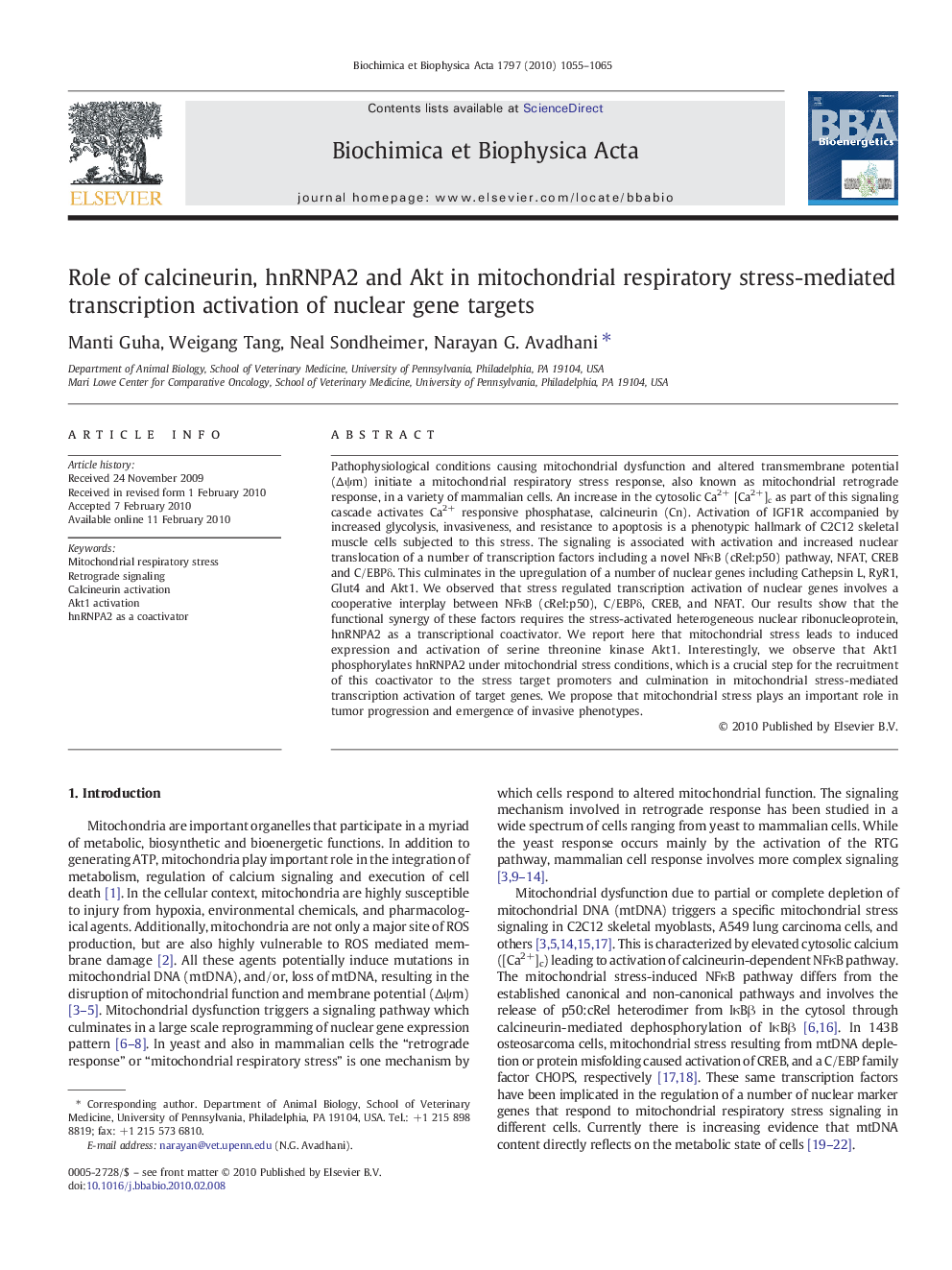 Role of calcineurin, hnRNPA2 and Akt in mitochondrial respiratory stress-mediated transcription activation of nuclear gene targets