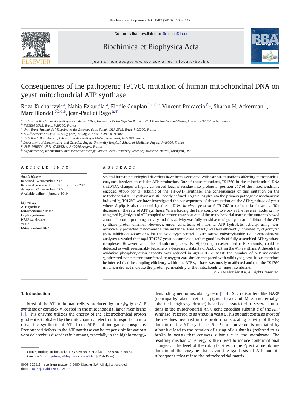 Consequences of the pathogenic T9176C mutation of human mitochondrial DNA on yeast mitochondrial ATP synthase