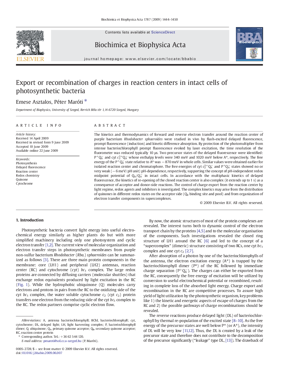 Export or recombination of charges in reaction centers in intact cells of photosynthetic bacteria