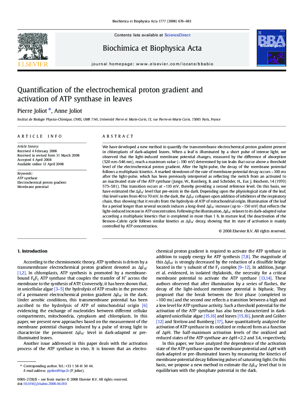 Quantification of the electrochemical proton gradient and activation of ATP synthase in leaves