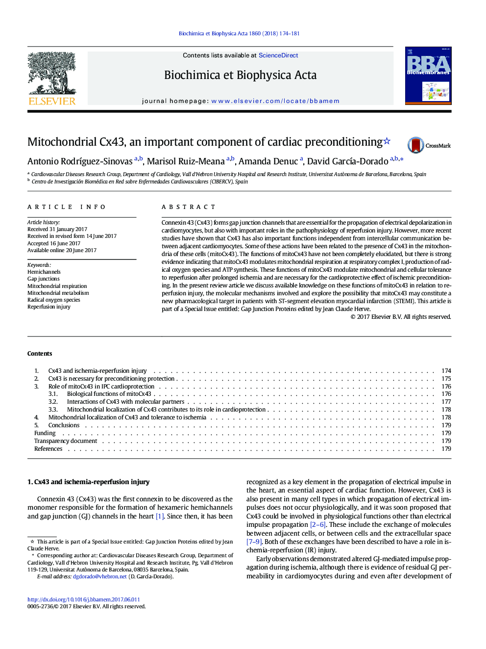 Mitochondrial Cx43, an important component of cardiac preconditioning