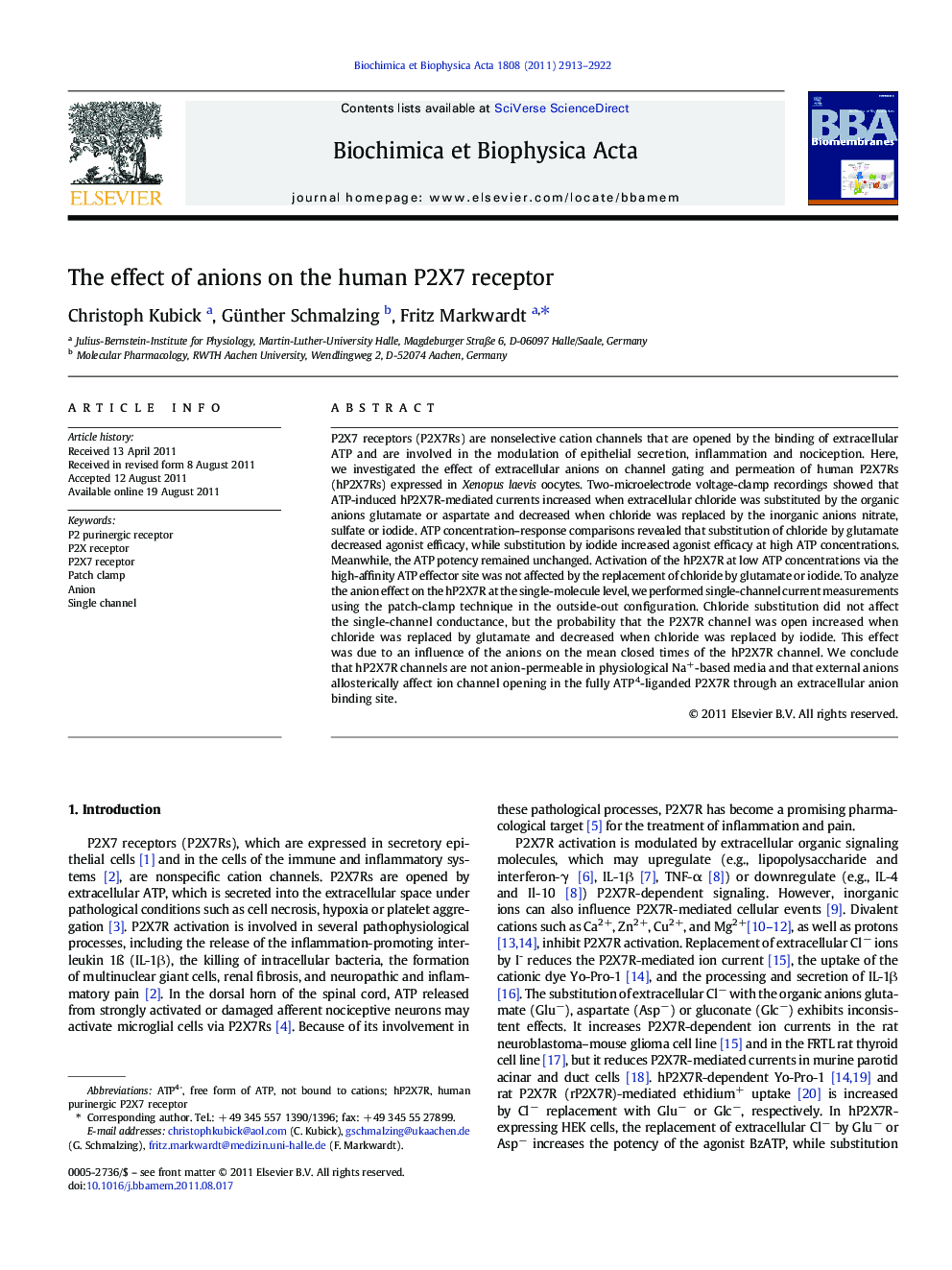 The effect of anions on the human P2X7 receptor