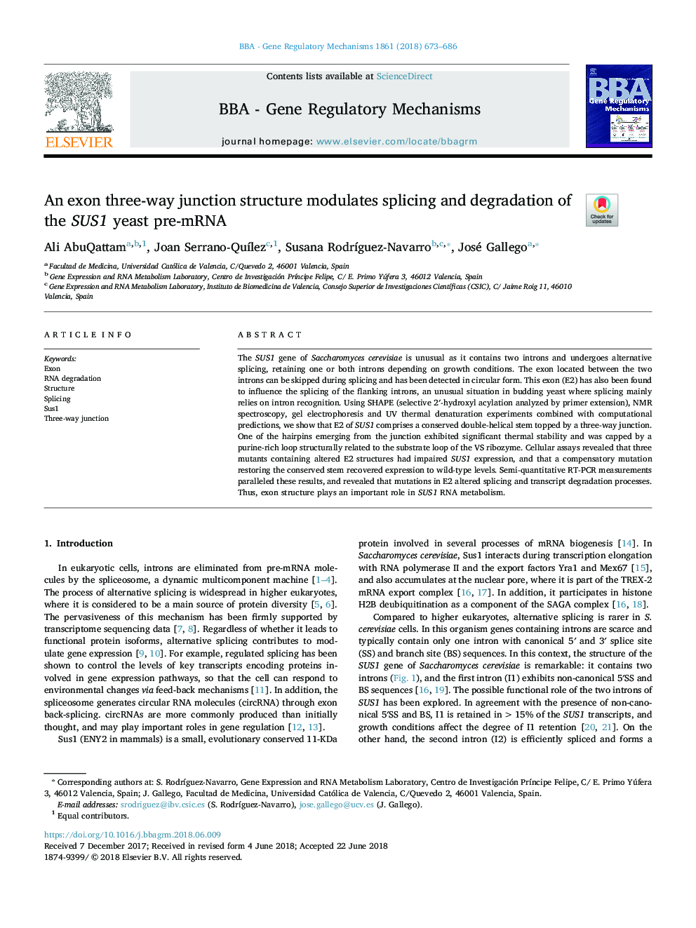 An exon three-way junction structure modulates splicing and degradation of the SUS1 yeast pre-mRNA